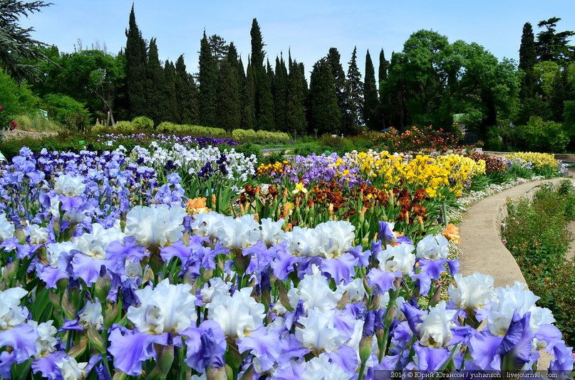 Весна в Никитском ботаническом саду