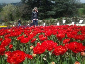 Открытие Парада тюльпанов в Никитском саду5