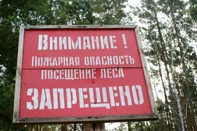 В Крыму из-за жары запретили посещение лесов