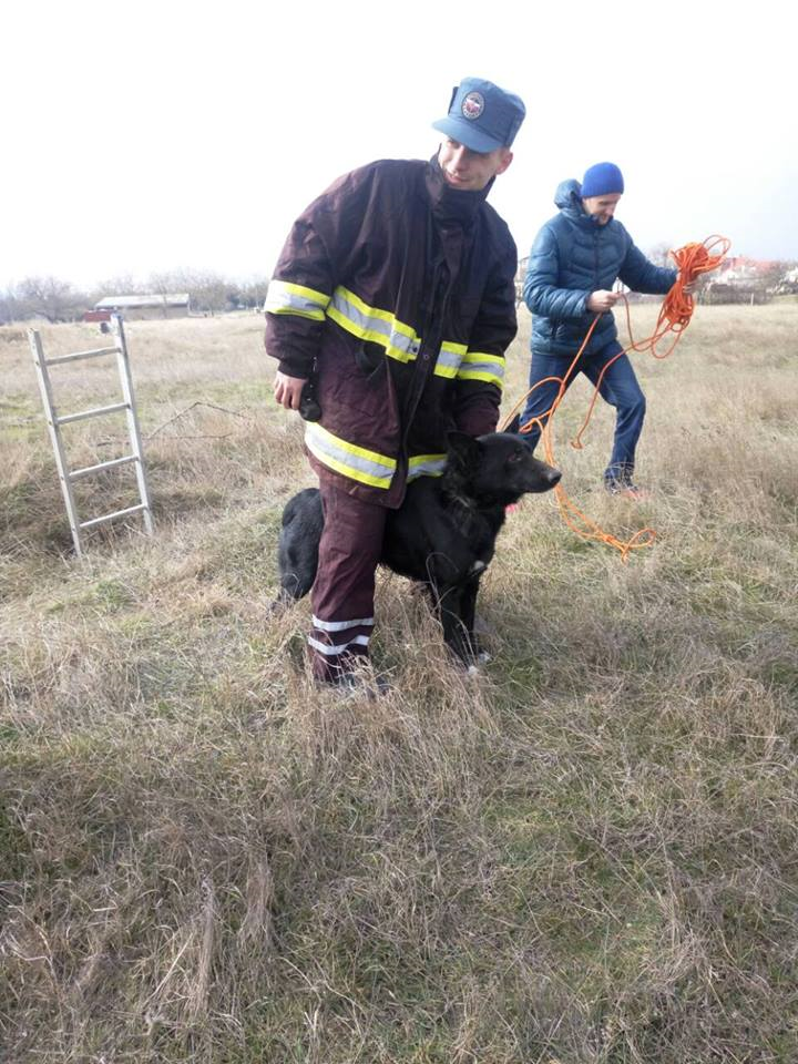 Крымские спасатели оказали помощь собаке