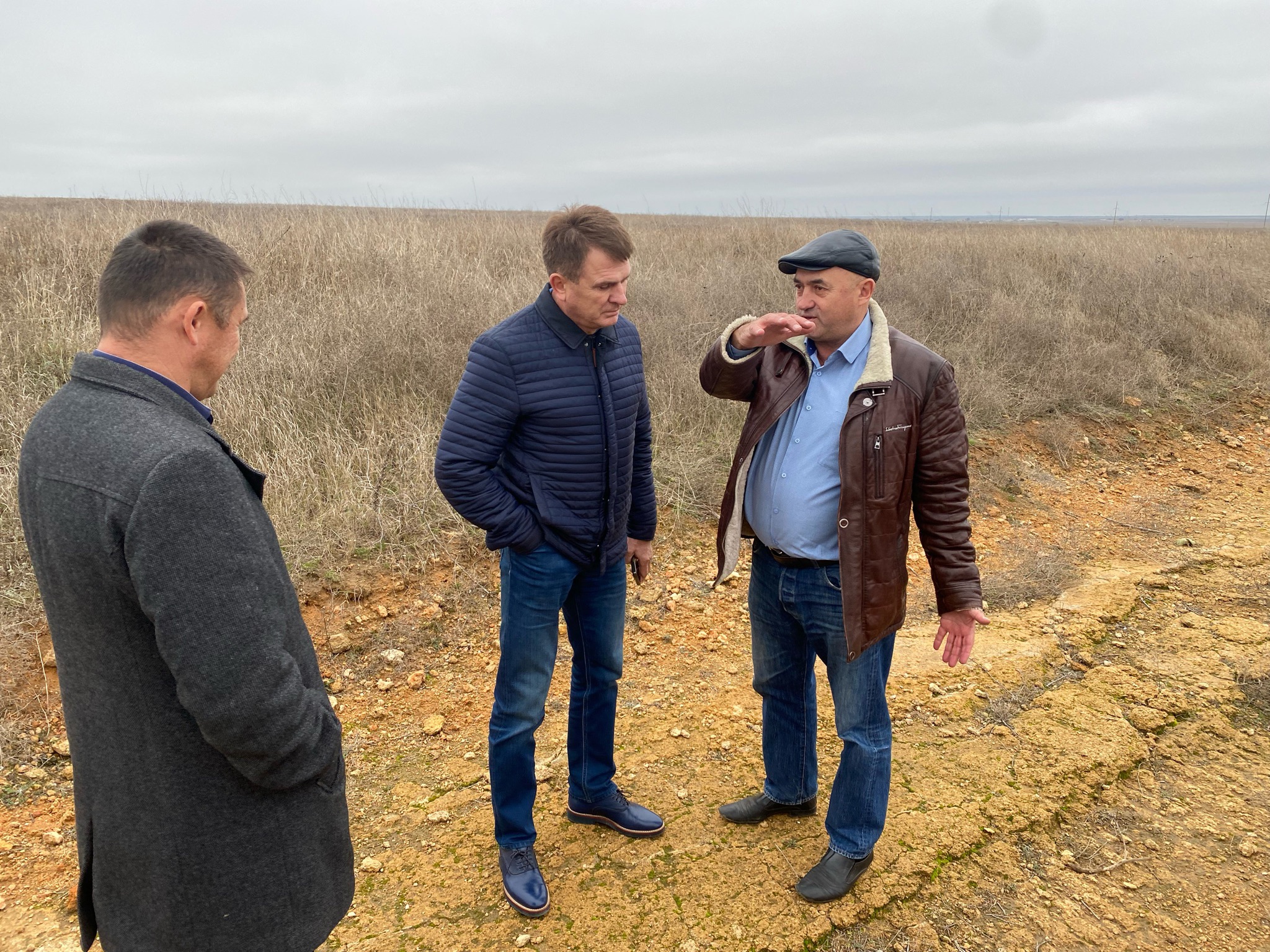 В Черноморском фермеры научились выращивать зерновые, не вспахивая полей 